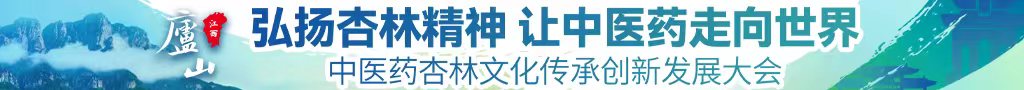 操逼穴视频中医药杏林文化传承创新发展大会